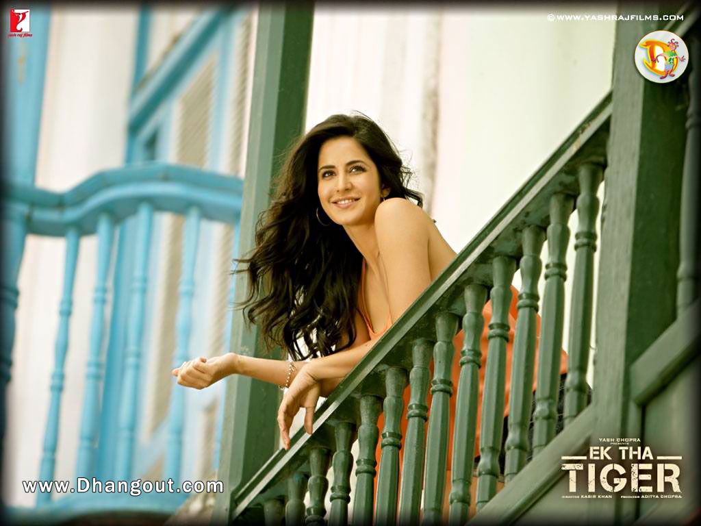 Ek Tha Tiger - HD Wallpaper 