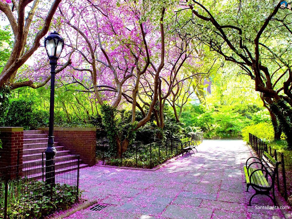 Spring Pictures Of Landscapes - HD Wallpaper 