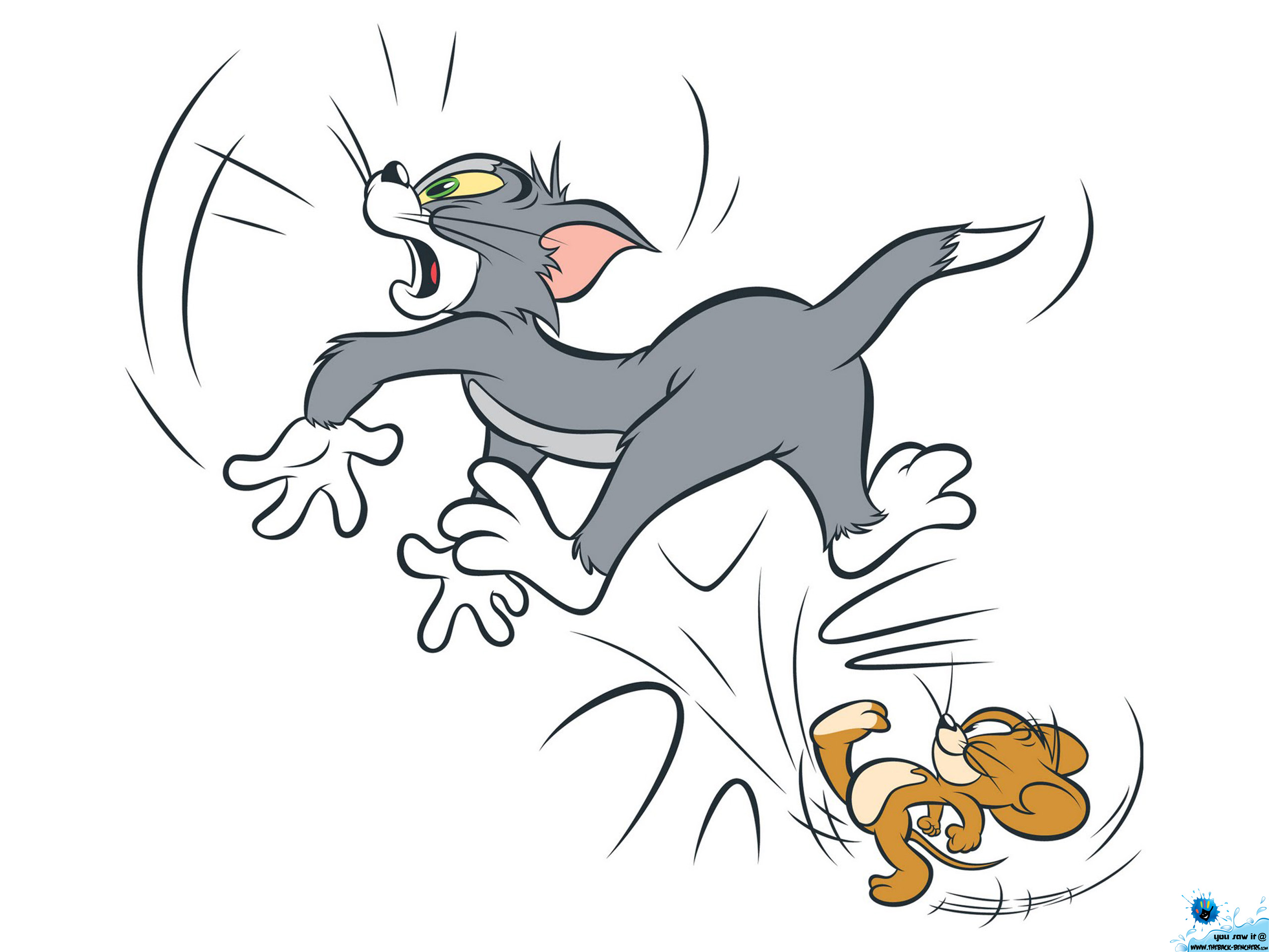 Tom And Jerry Funny Images Hd - 2560x1920 Wallpaper 