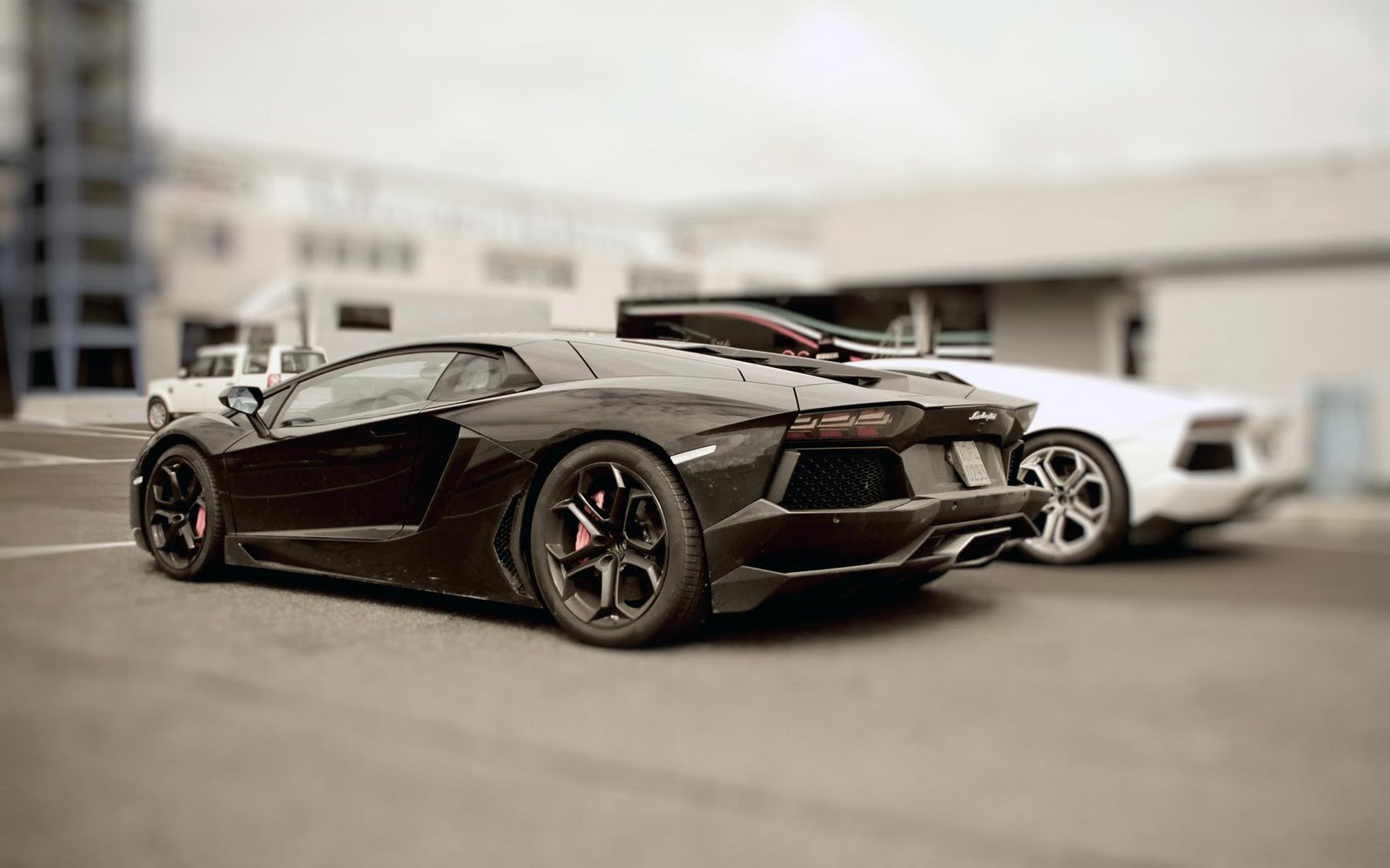 Lamborghini Aventador Wallpaper Lamborghini Aventador - Lamborghini Aventador - HD Wallpaper 