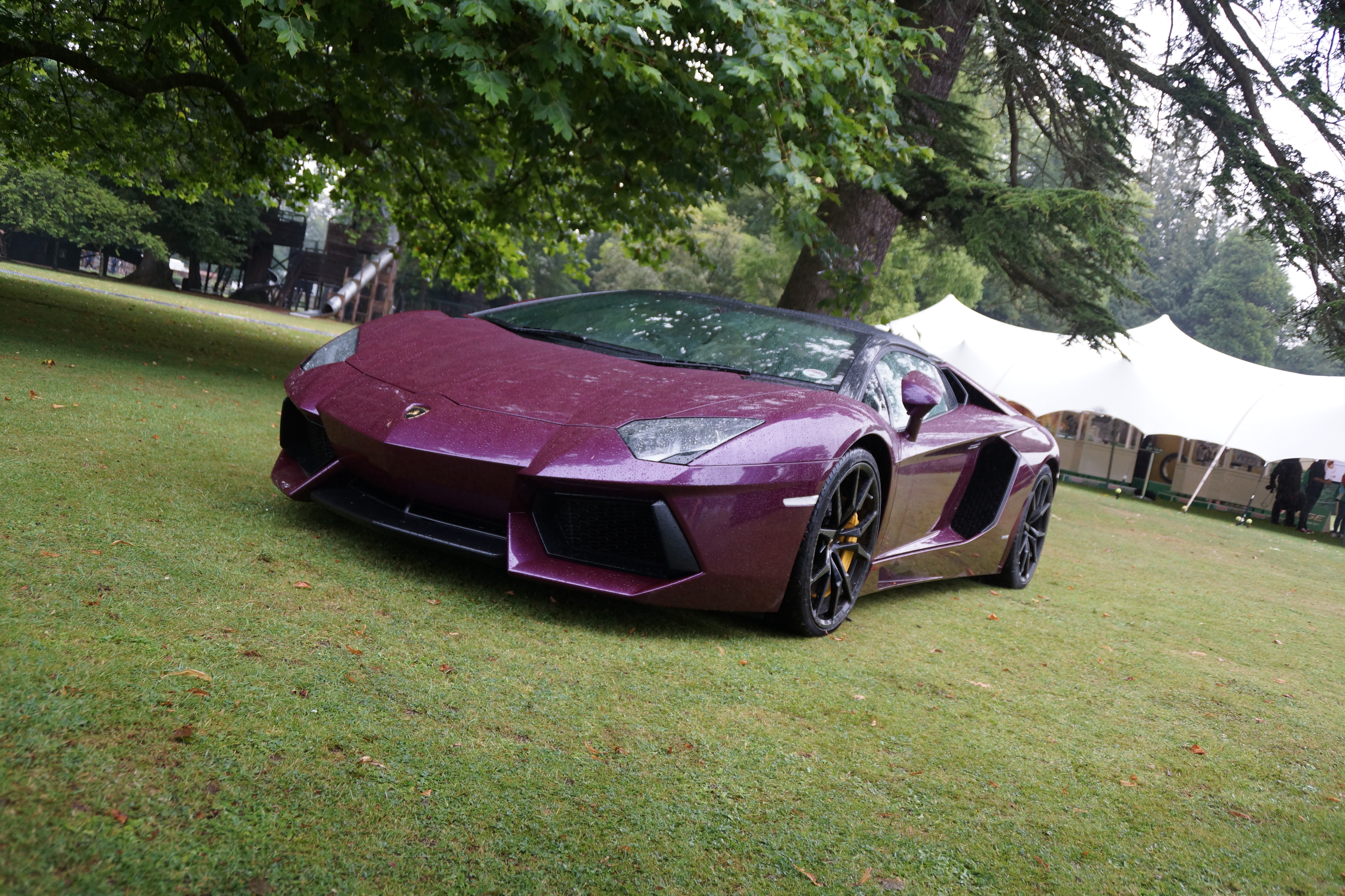 Purple Lamborghini Iphone Hd Wallpaper - Lamborghini Reventón - HD Wallpaper 