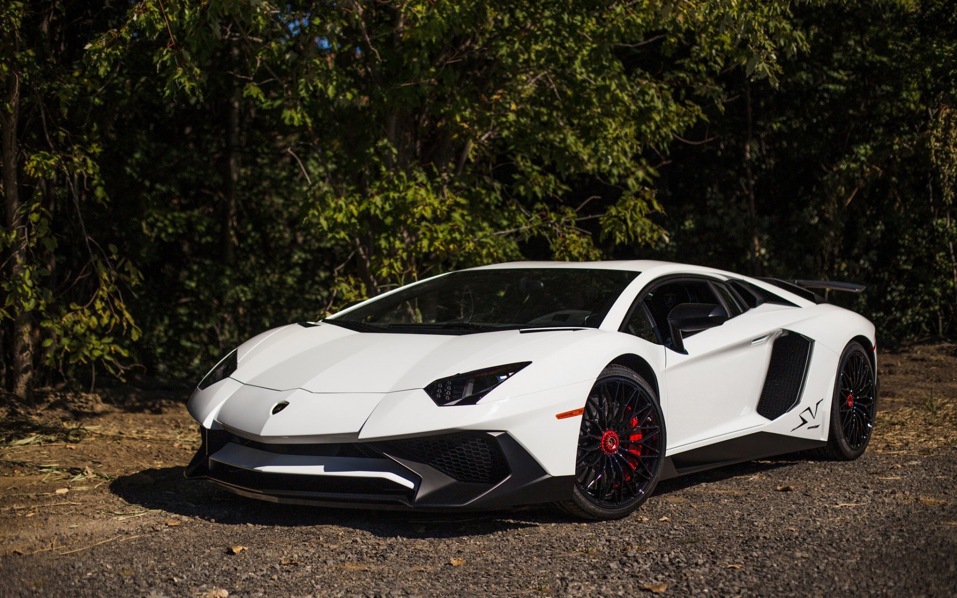White Lamborghini Aventador Sv - HD Wallpaper 