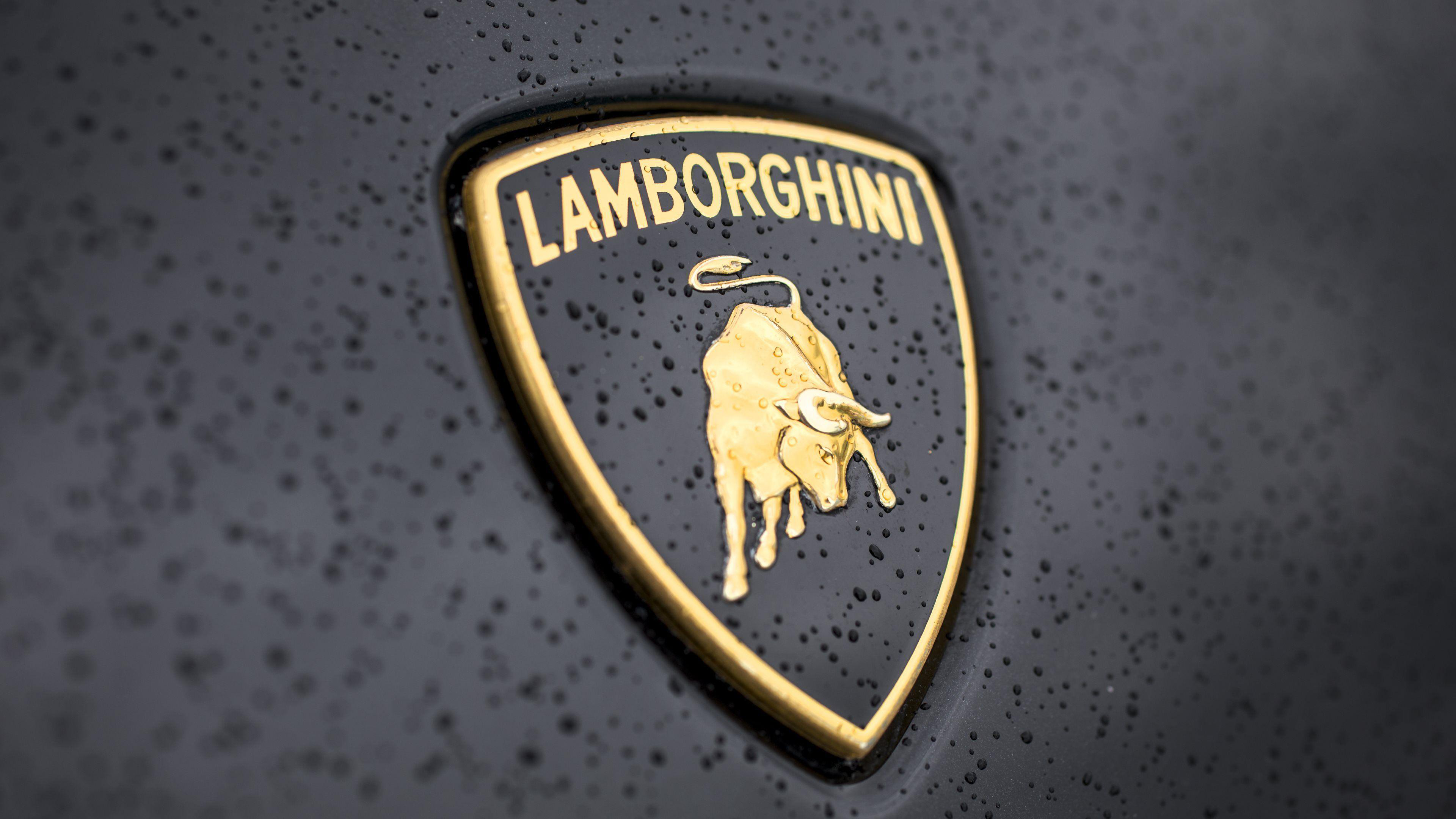 Hd Wallpaper Lamborghini Logo - HD Wallpaper 