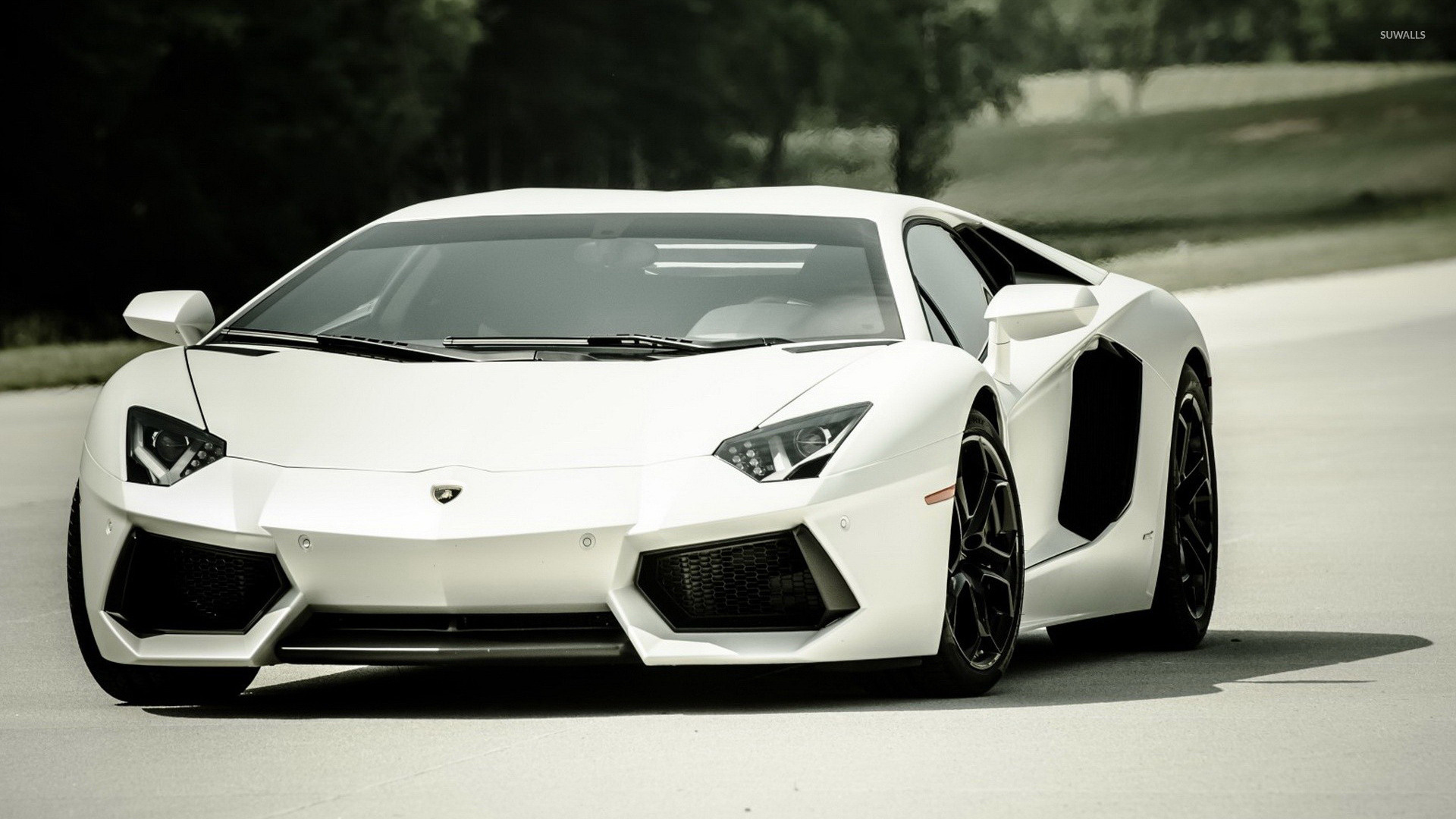 Lamborghini Aventador In White - HD Wallpaper 