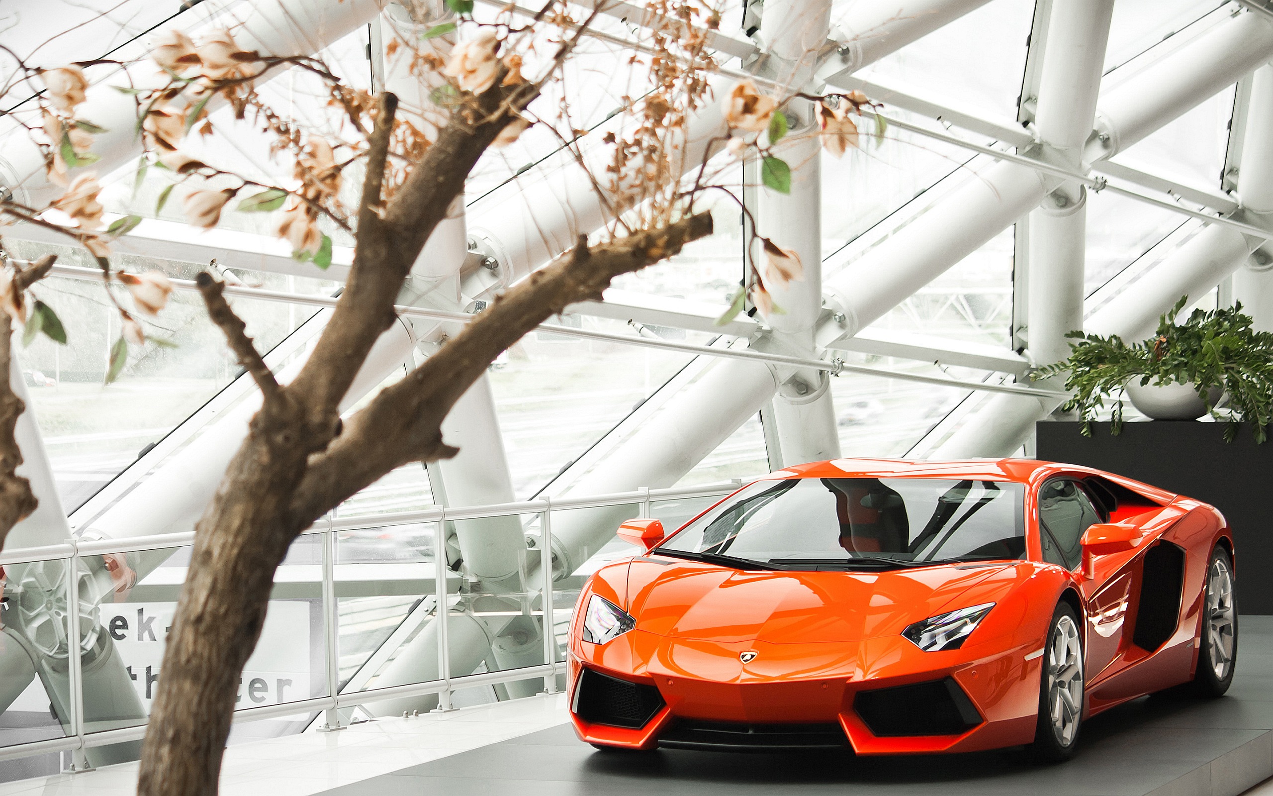 2013 Lamborghini Lp700 - HD Wallpaper 