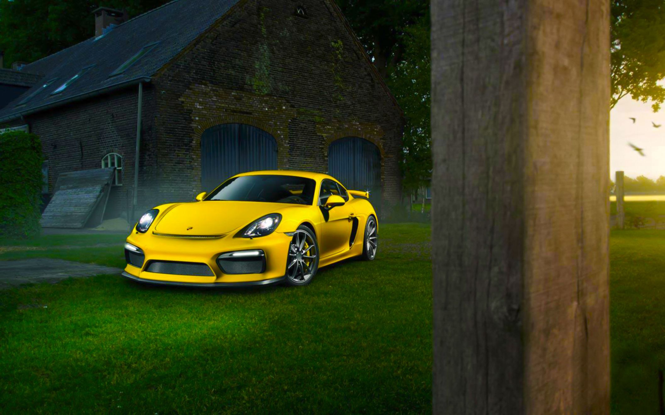 Download Free Hd Porsche Cayman Gt4 Wide Wallpaper, - HD Wallpaper 