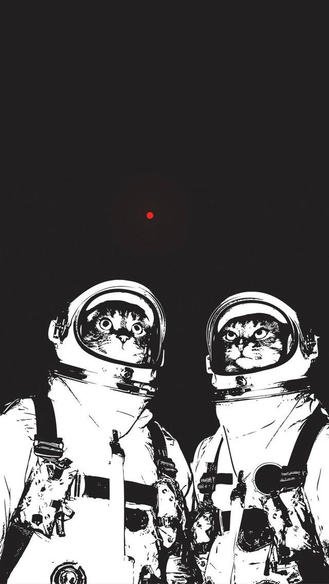 Cats Red Dot Astronaut - HD Wallpaper 
