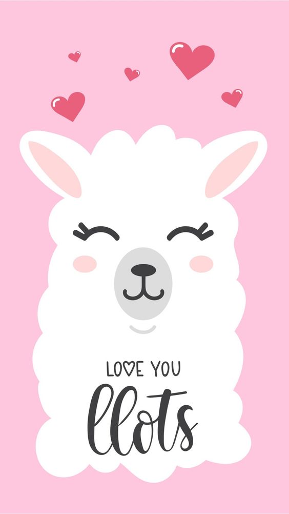 Lama Love You - HD Wallpaper 