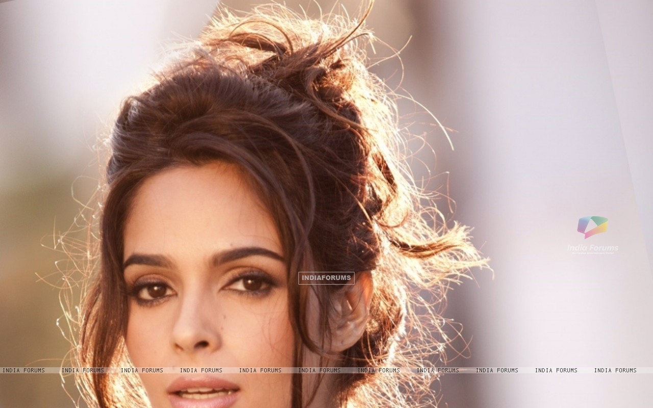 Mallika Sherawat At Leonardo Dicaprio Foundation - HD Wallpaper 