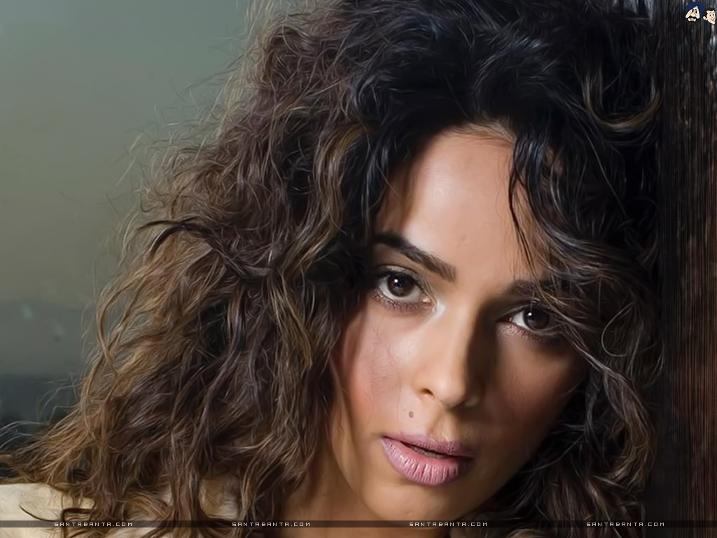 Mallika Sherawat - Hot Mallika Sherawat Letest - HD Wallpaper 