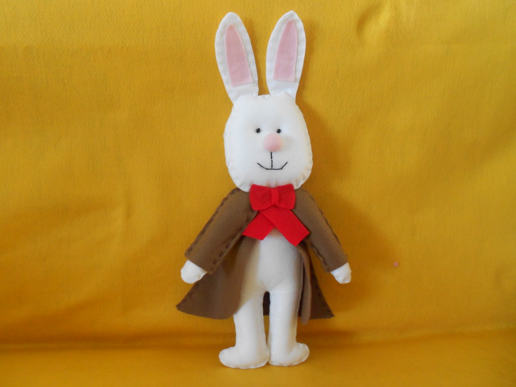 Domestic Rabbit - HD Wallpaper 