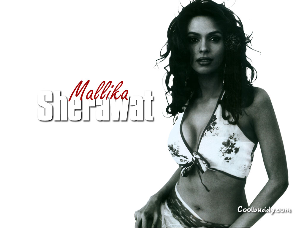 Photo Shoot - HD Wallpaper 