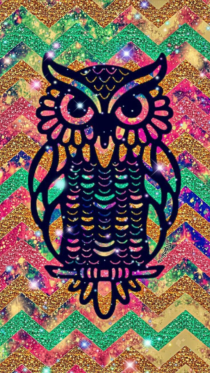 Colorful Owl - HD Wallpaper 