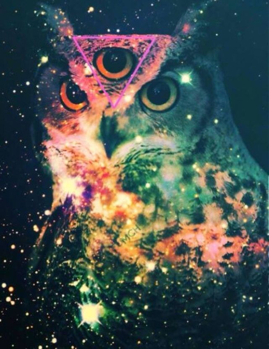 Third Eye Owl - HD Wallpaper 