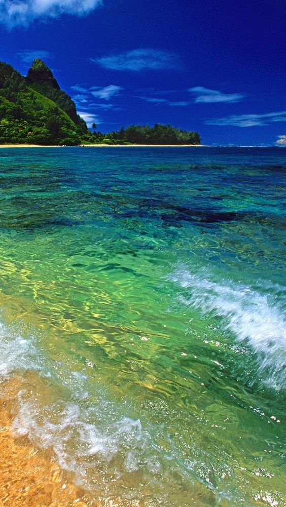 Hawaii Iphone Background - 564x1001 Wallpaper 