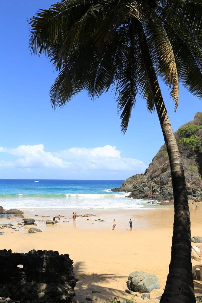 Praia Do Cachorro - HD Wallpaper 