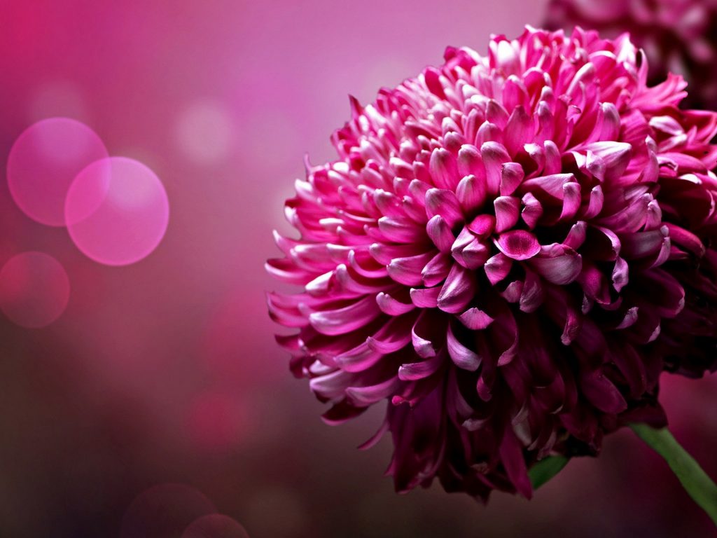 Super Wallpapers For Laptop - HD Wallpaper 