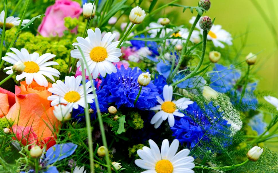 Summer Flowers Wallpaper Wallpaper,flowers Hd Wallpaper,2880x1800 - Vivid Flowers - HD Wallpaper 