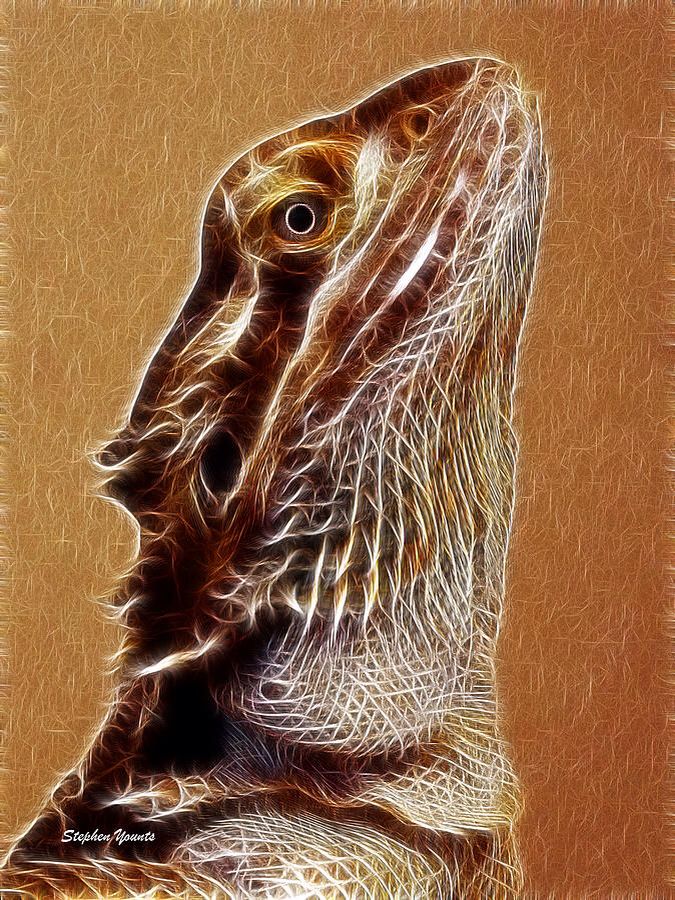 Bearded Dragon Art - HD Wallpaper 