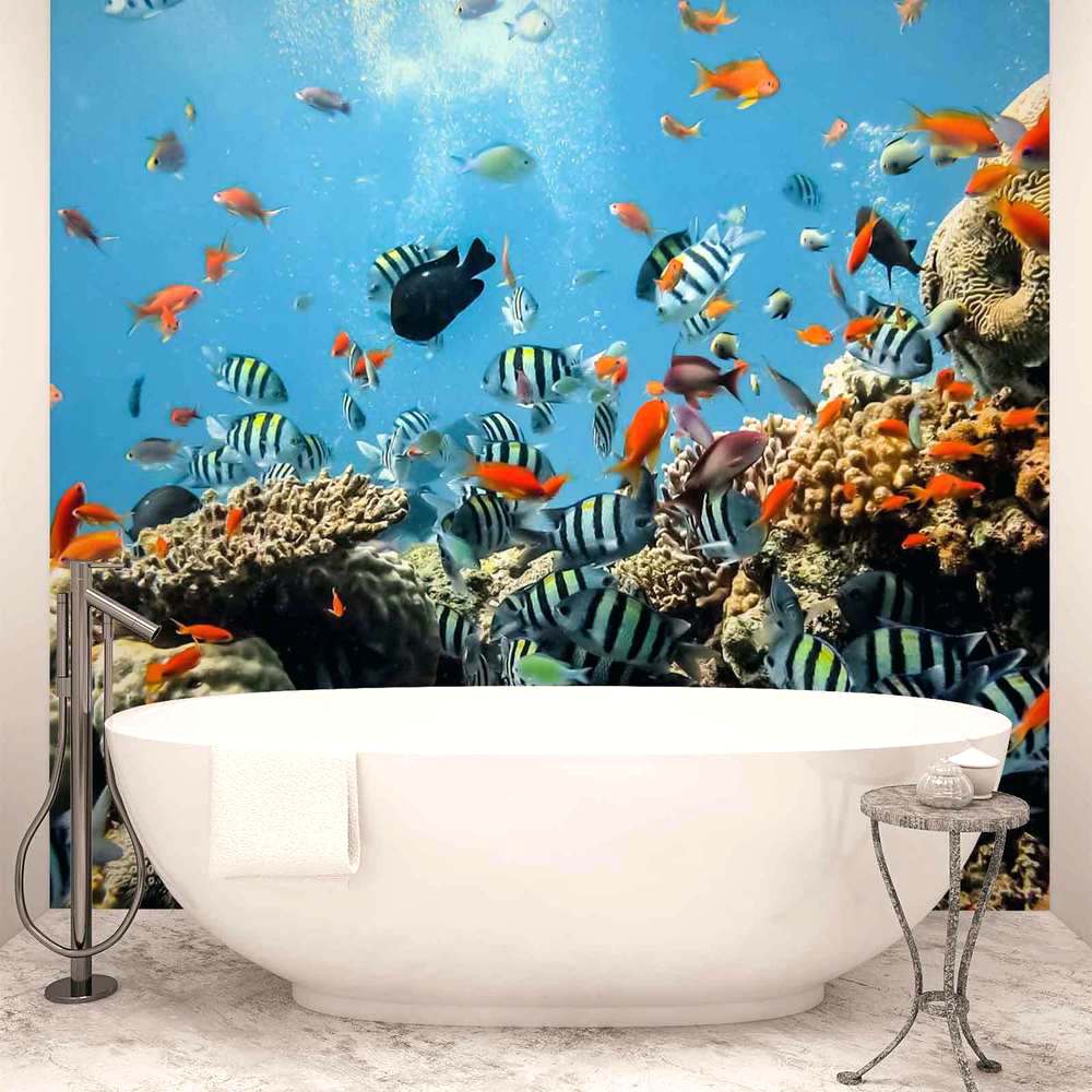 Fish Wallpaper For Bathroom - 1000x1000 Wallpaper - teahub.io