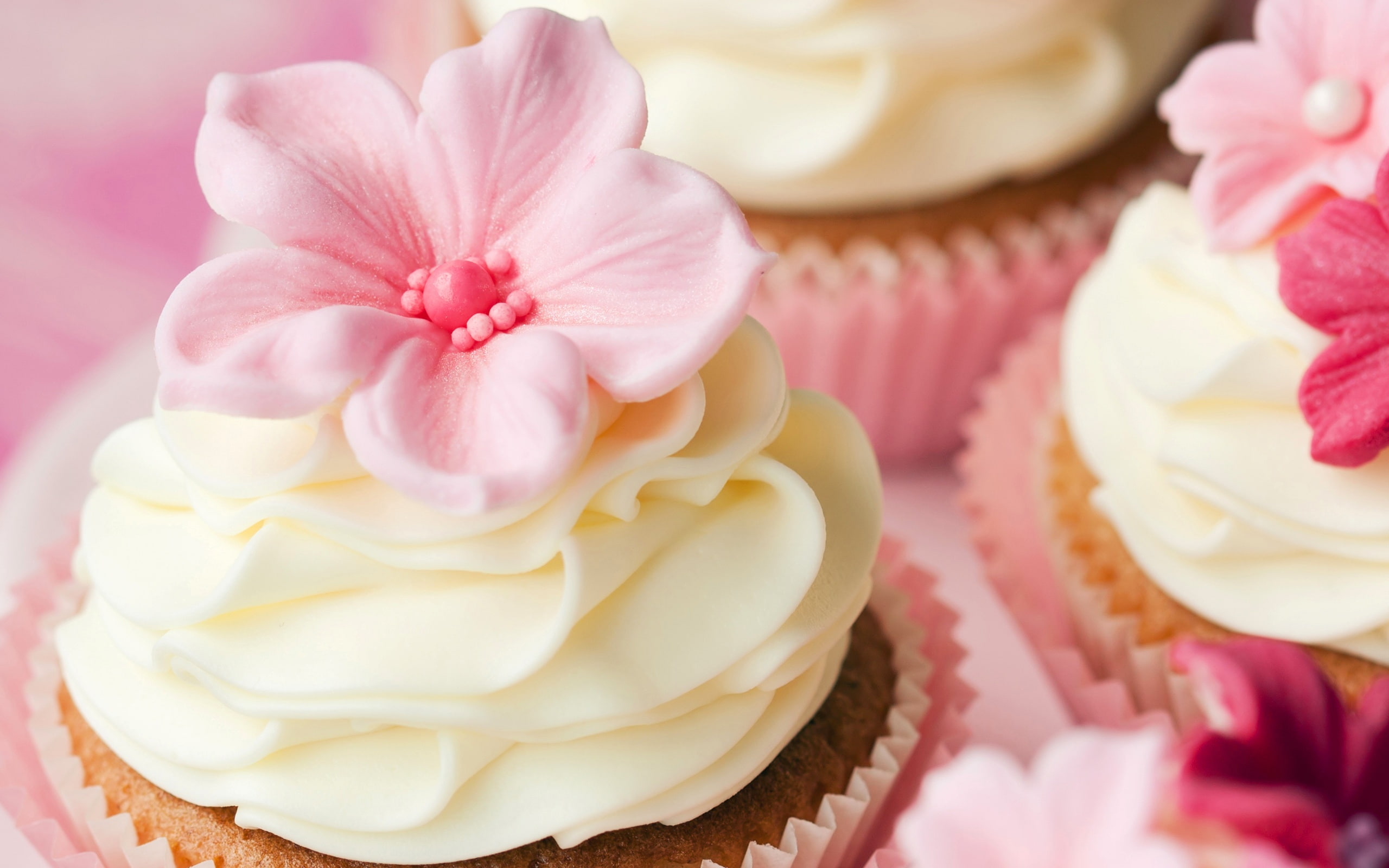 Sakura Cupcakes - HD Wallpaper 