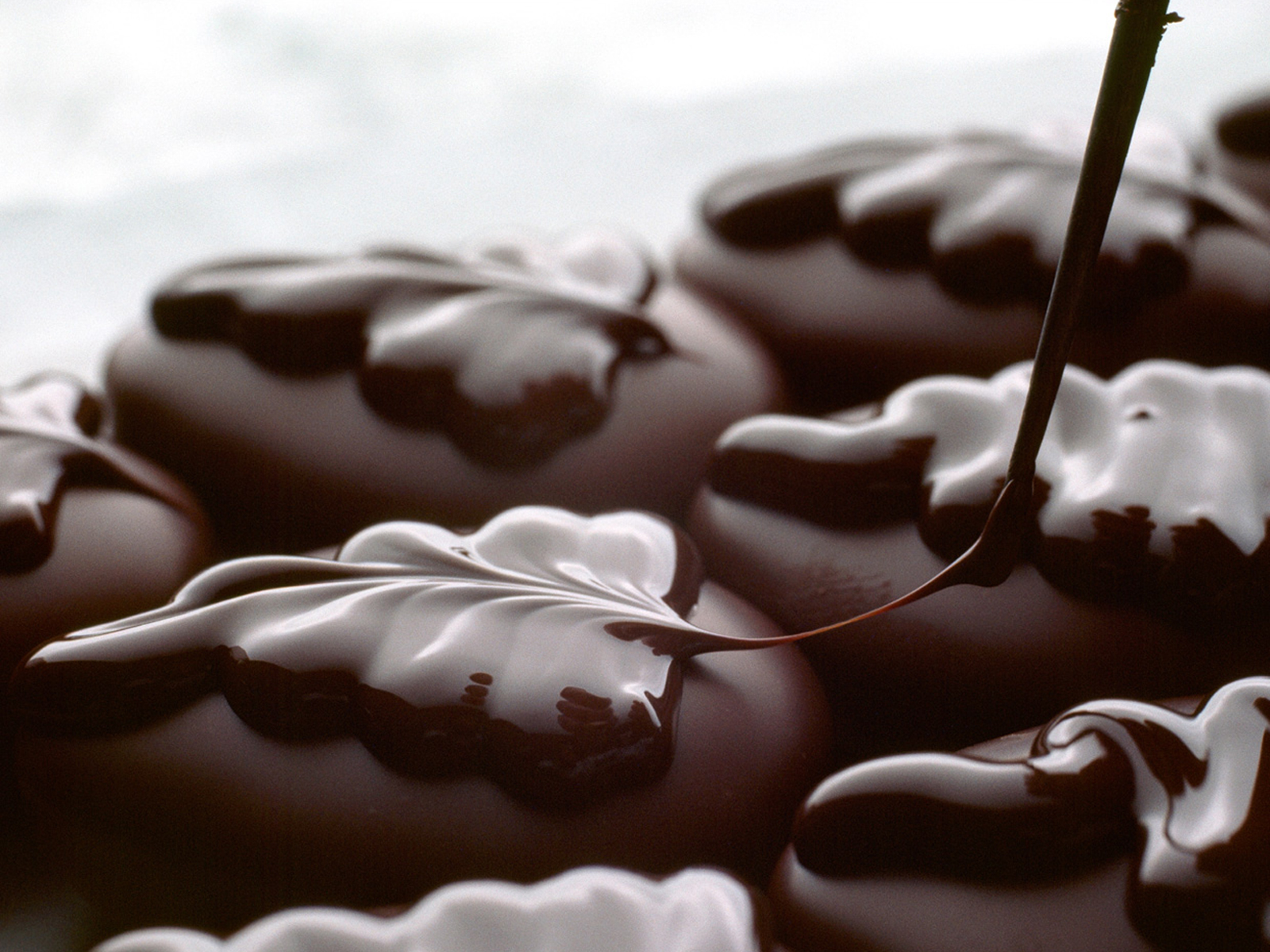 Delicious Chocolate Cake Desktop Hd Wallpaper,bar Wallpaper,chocolate - Full Hd Chocolate Wallpaper Hd - 970x727 Wallpaper Delicious Chocolate Cake Desktop Hd Wallpaper,bar Wallpaper,chocolate - Full Hd Chocolate Wallpaper Hd - 970x727 Wallpaper