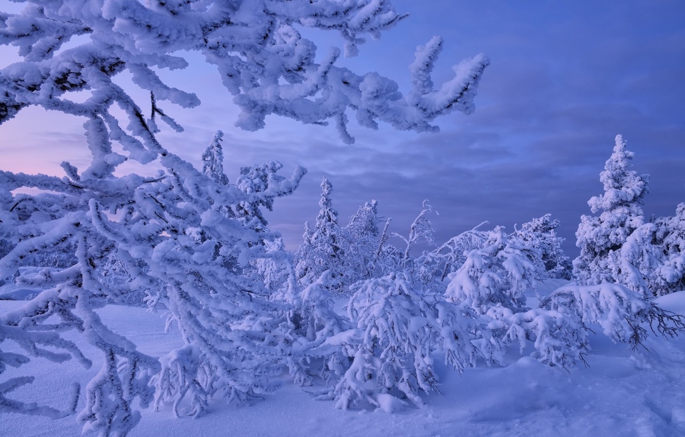 Photo Wallpaper Winter, Snow, Frost, Russia, Murmansk - Snow - HD Wallpaper 