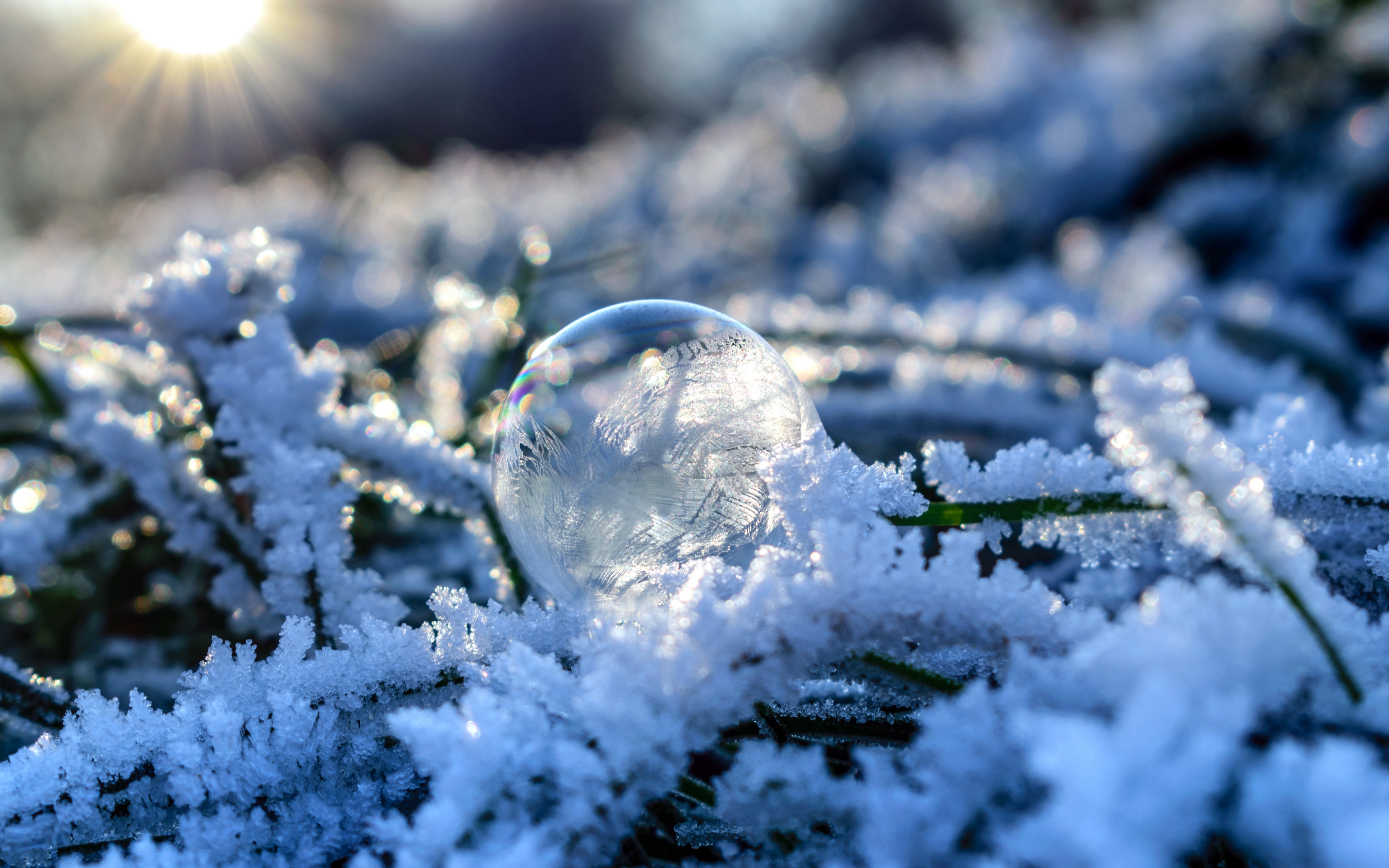 Wallpaper Bubble, Orb, Frost, Snow - Snow Frost Wallpaper Hd - HD Wallpaper 
