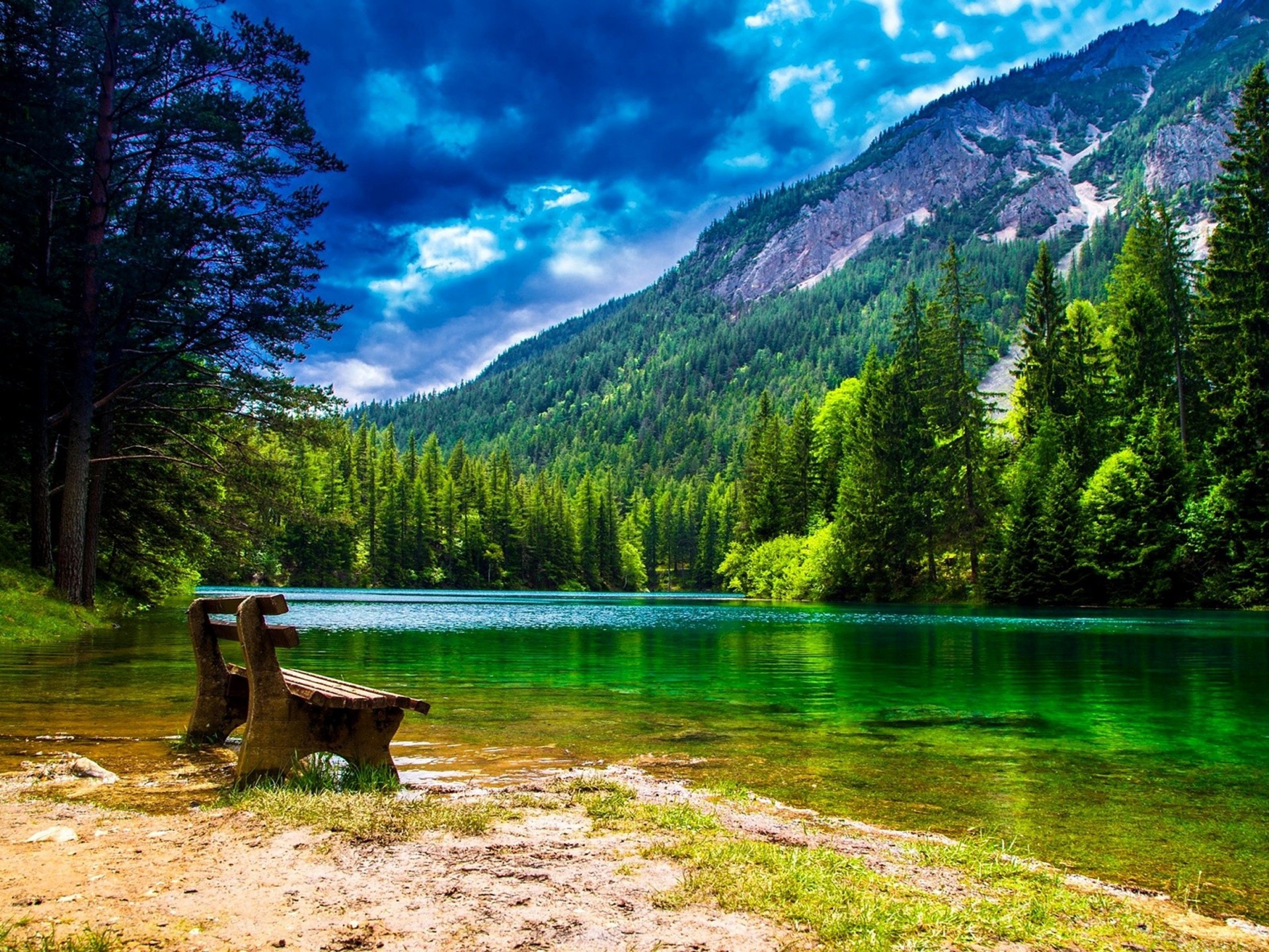 Green Forest With A Bench - HD Wallpaper 