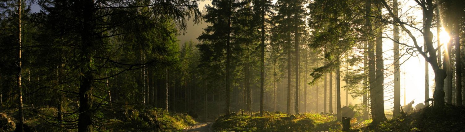 Daily Life Experience By Tyndall Effect - HD Wallpaper 