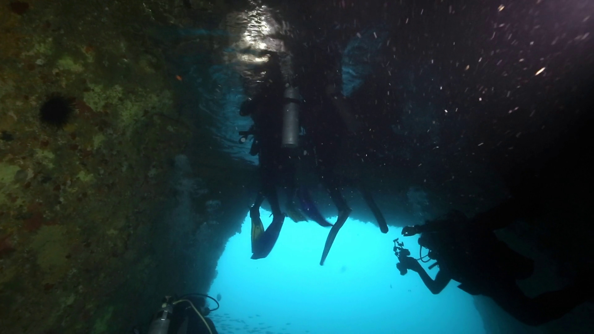 Scuba Divers Ascend Into Underwater Air Pocket At Poor - Diving Wallpaper 1080 - HD Wallpaper 