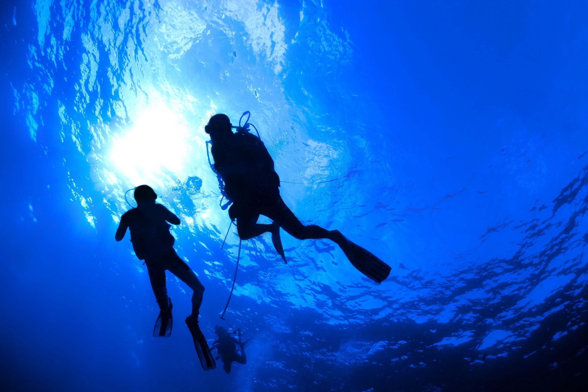 Scuba Diving Diver Ocean Sea Underwater Wallpaper - Diver In The Sea - HD Wallpaper 