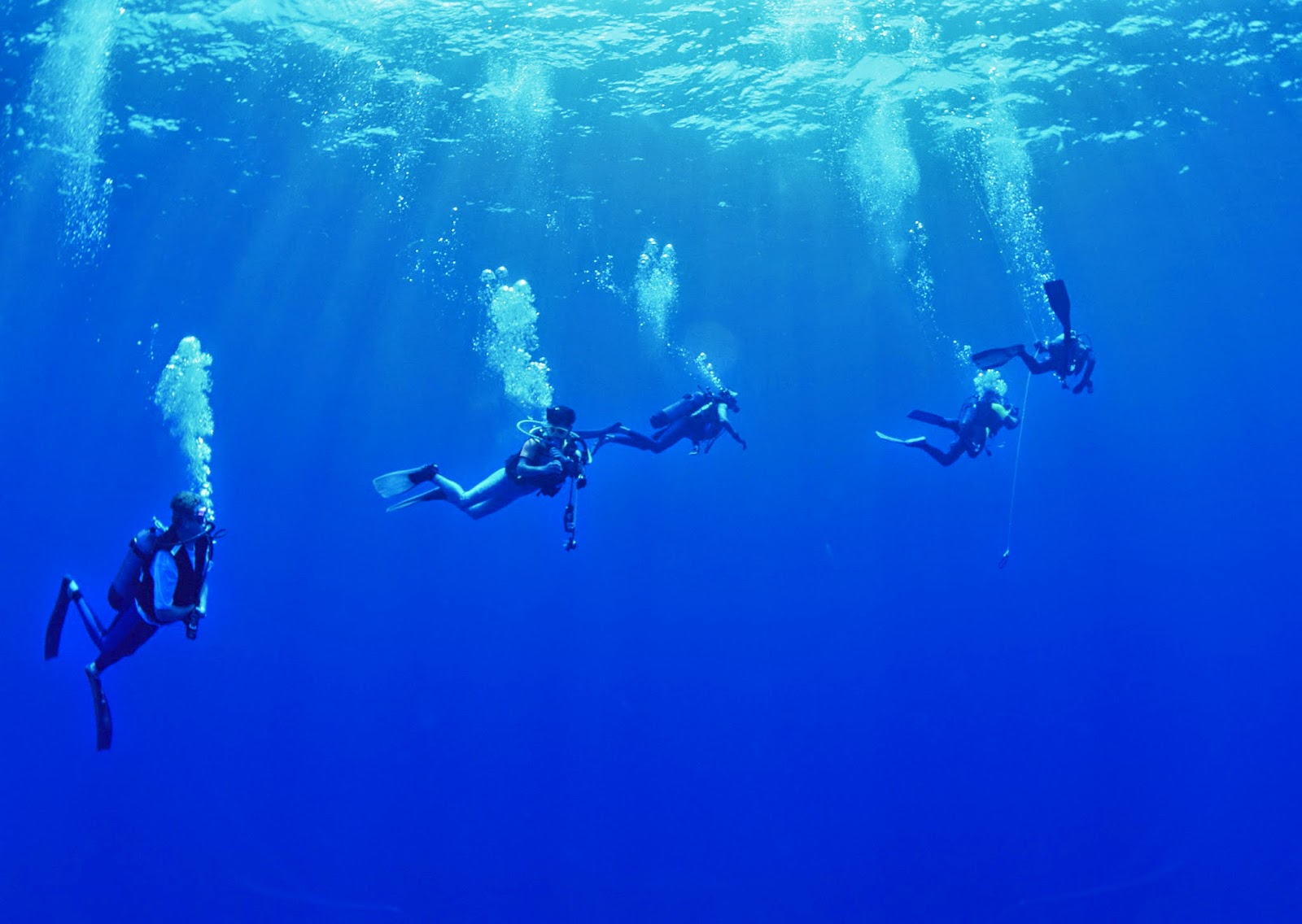 Scuba Diving Wallpaper - Scuba Diving - HD Wallpaper 