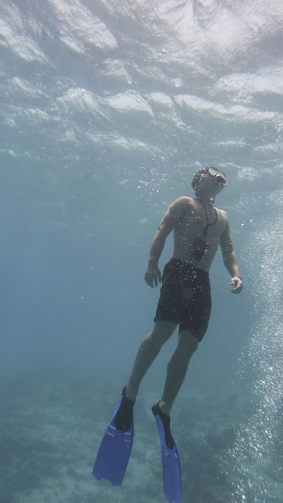 Apnea, Free Diving, Freediver, Fins, Underwater, Scuba - HD Wallpaper 