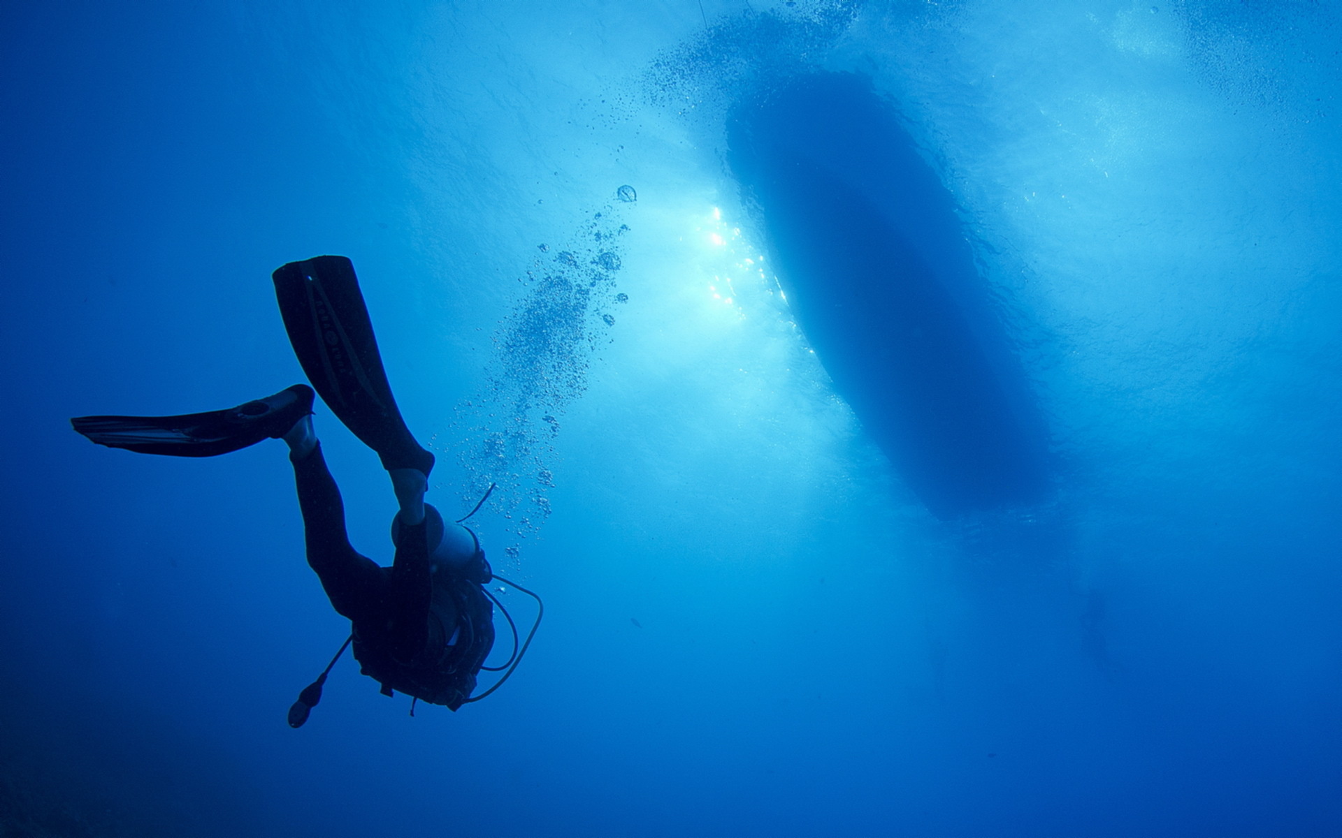Underwater Diving Austrian Sea Underwater - HD Wallpaper 