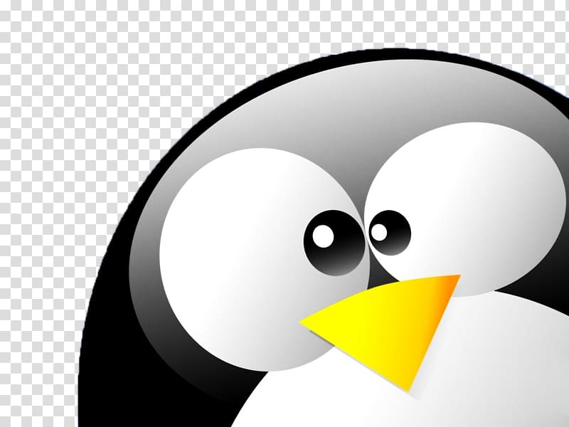 Tux Penguin Desktop Linux Foundation, Penguin Transparent - HD Wallpaper 