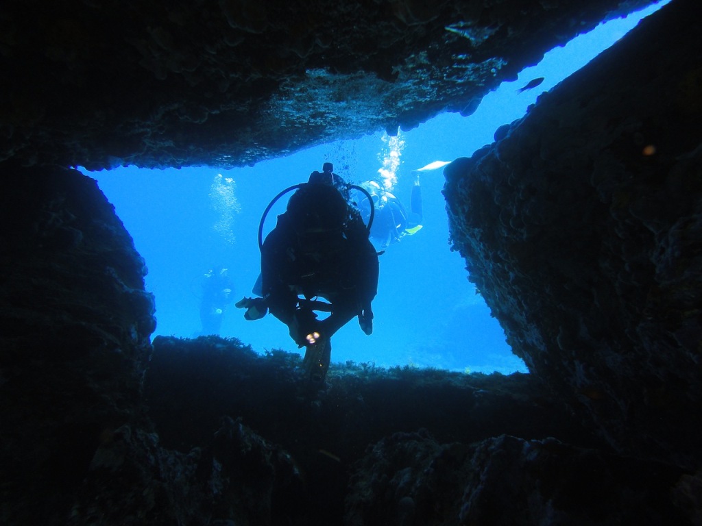 Click To Enlarge Image Dsc00828 - Scuba Diving - HD Wallpaper 