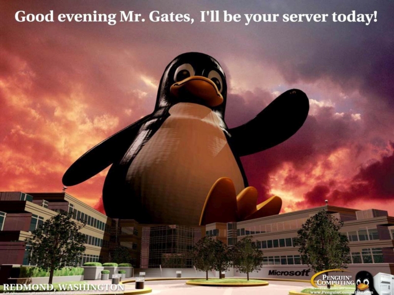 Linux Server Tux Crushes The Compitition - HD Wallpaper 