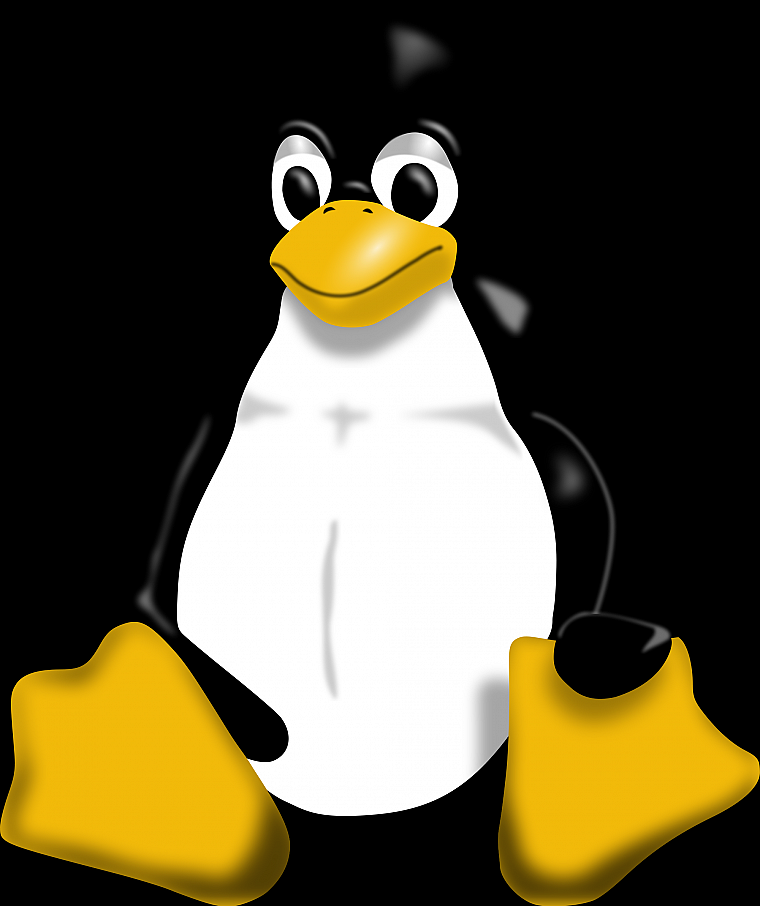 Linux Penguin Black Background - HD Wallpaper 