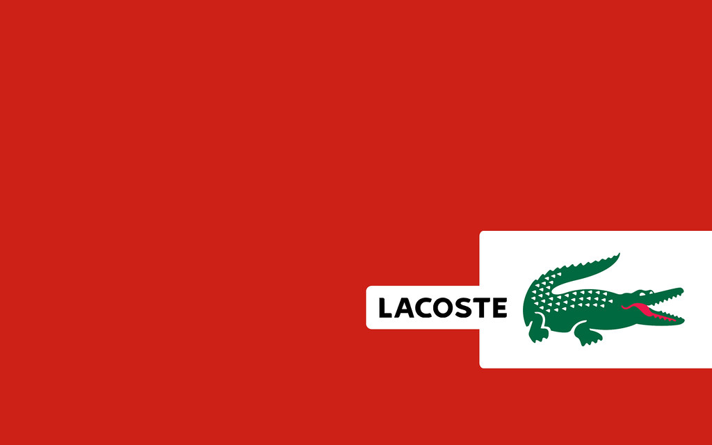 Cat Jumps - HD Wallpaper 