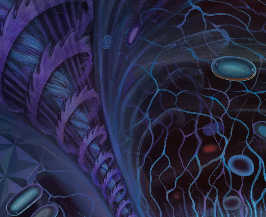 Fractal Art - HD Wallpaper 