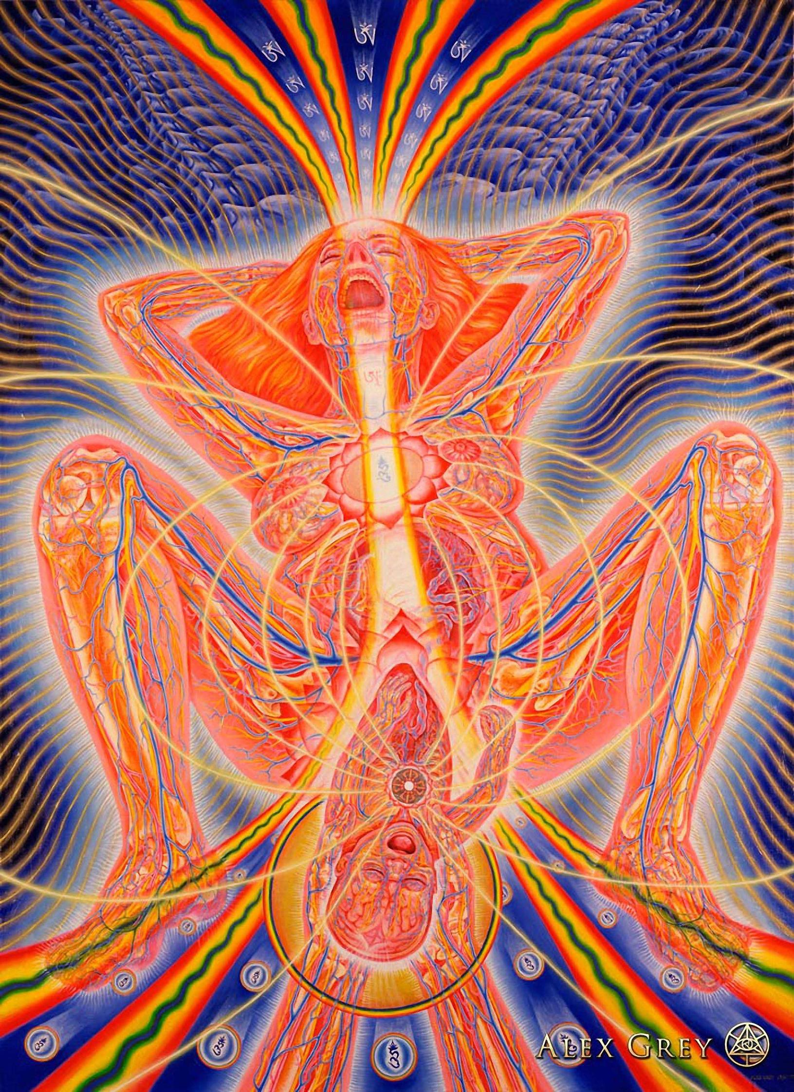 Alex Grey Art Birth - HD Wallpaper 