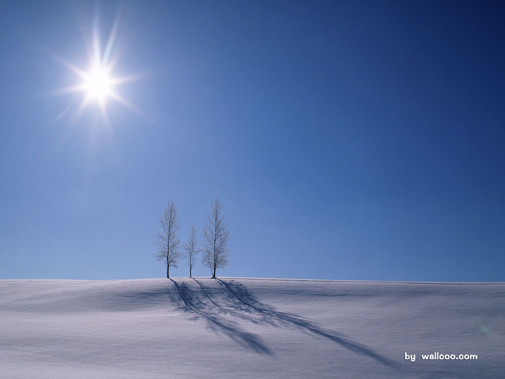 Snowy Winter Landscape Wallpapers 1024*768 No - Couple In Snowy Landscape - HD Wallpaper 