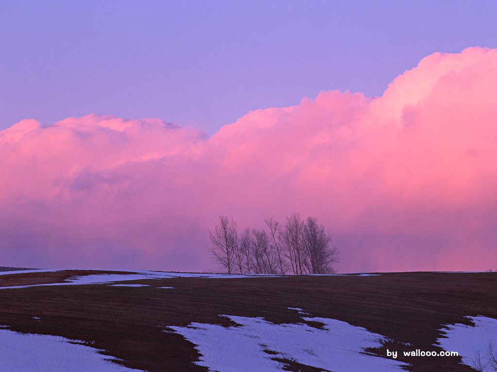 Snowy Winter Landscape Wallpapers 1024*768 No - Reflection - HD Wallpaper 