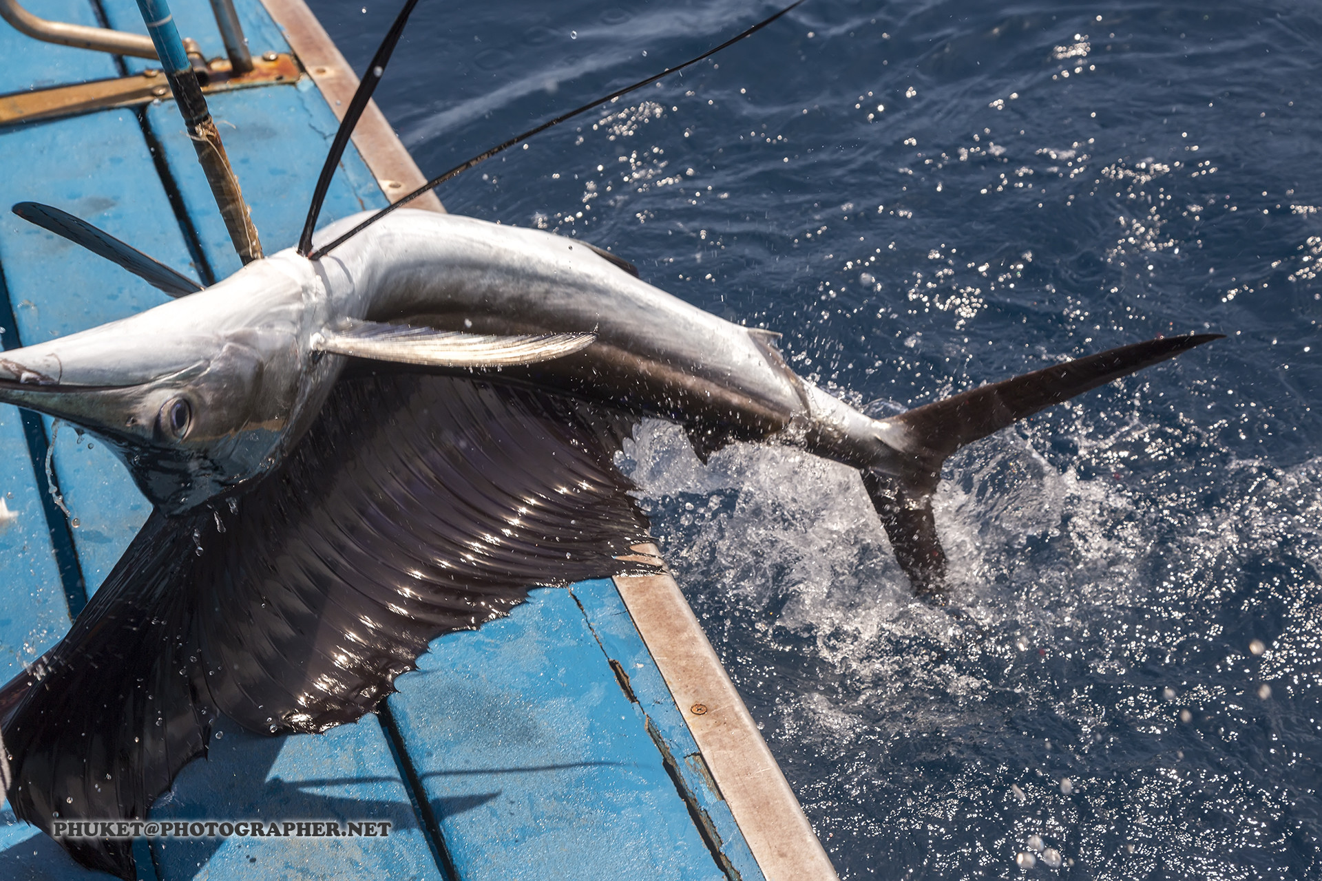People, Boat, Sunset, Sea, Water, Nature, Vehicle, - Indian Swordfish - HD Wallpaper 