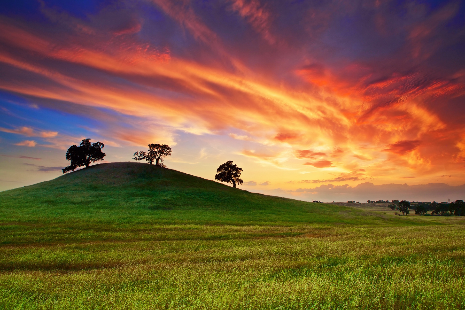 Wallpaper Usa, California, Sunset, Spring, May, Sky, - Field With A Sunset - HD Wallpaper 