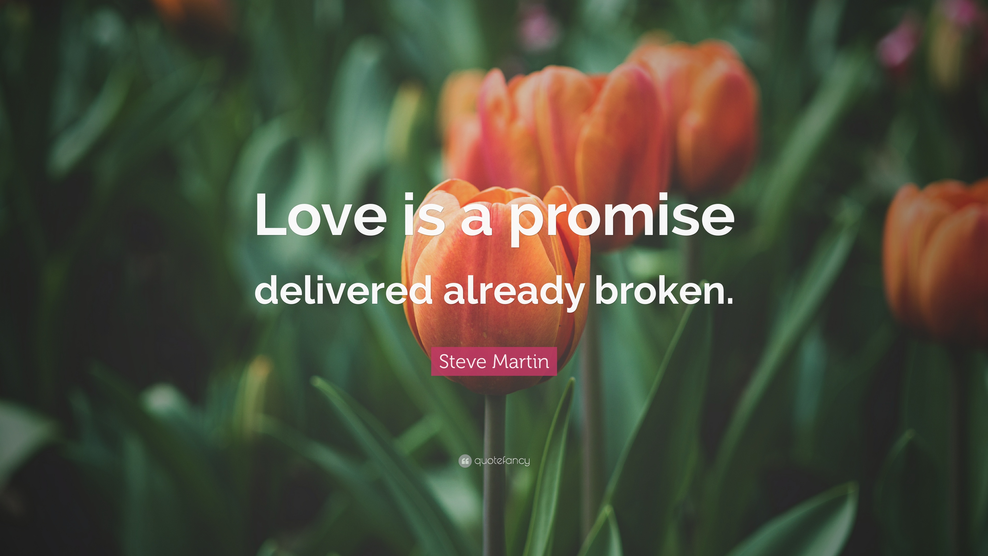 Steve Martin Quote - Orhan Pamuk Love Quotes - HD Wallpaper 