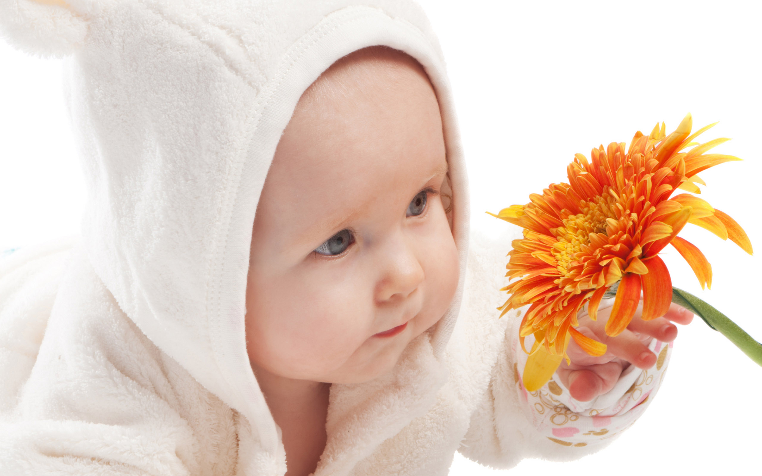 Baby With A Flower - HD Wallpaper 