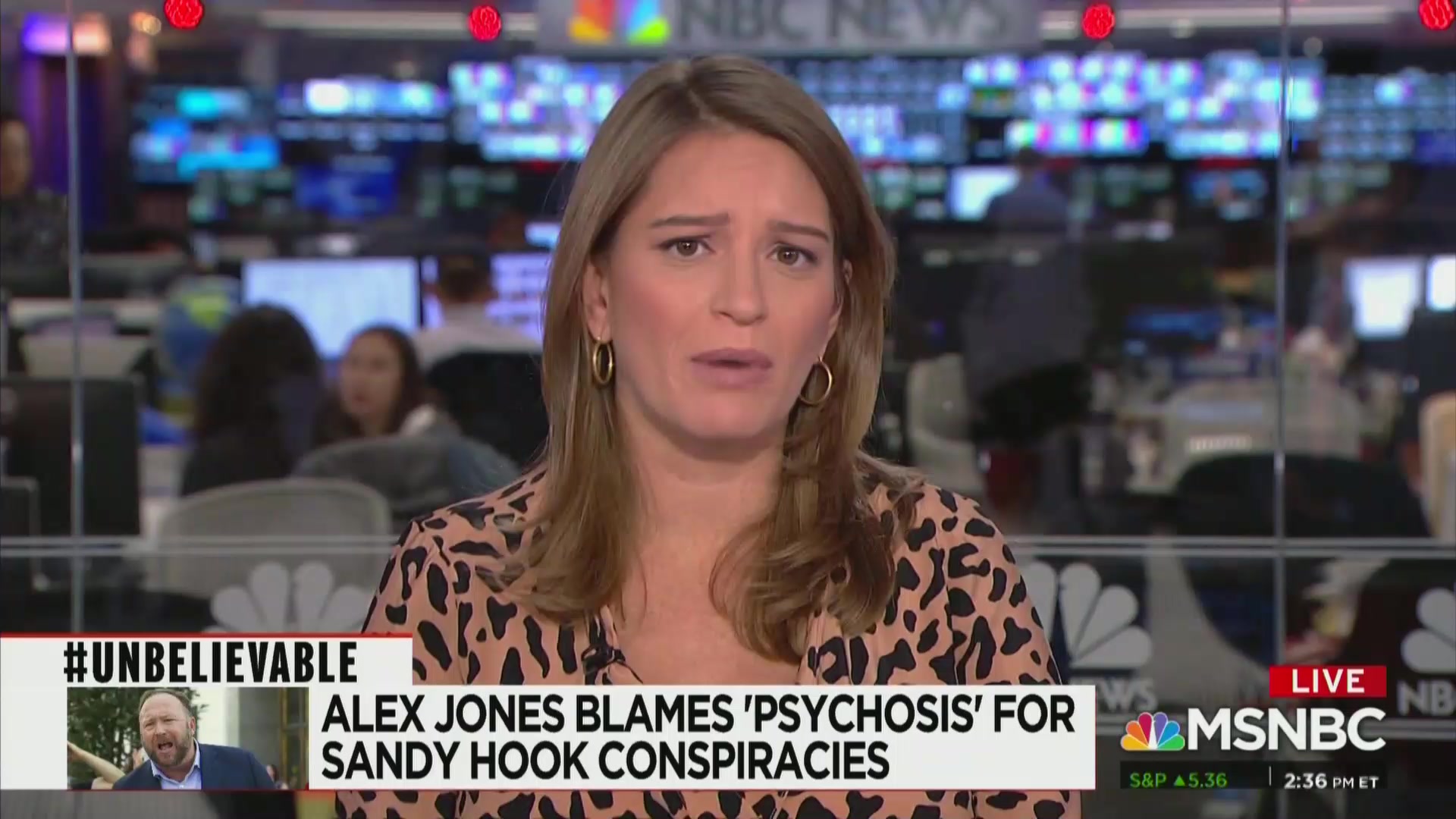 Msnbc’s Katy Tur Roasts Alex Jones For Childish ‘psychosis’ - Newscaster - HD Wallpaper 