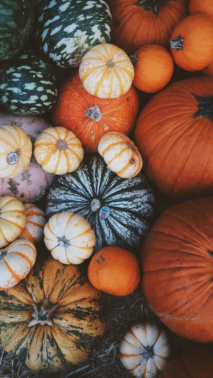Thanksgiving Wallpaper Vsco - Fall Background Vsco - HD Wallpaper 